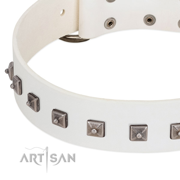 High quality full grain genuine leather dog collar with extraordinary decorations