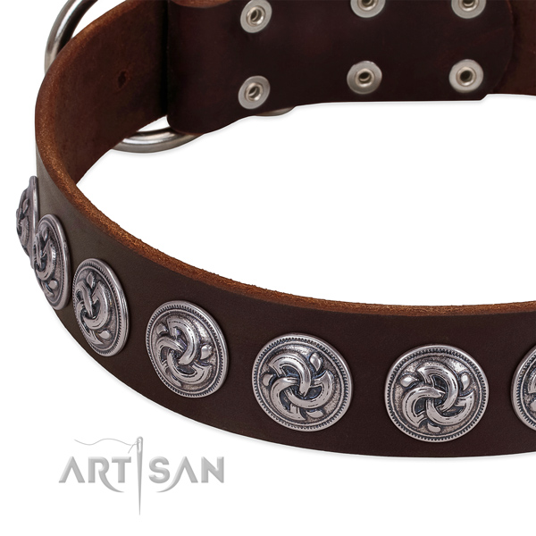Awesome full grain natural leather collar for your doggie daily walking