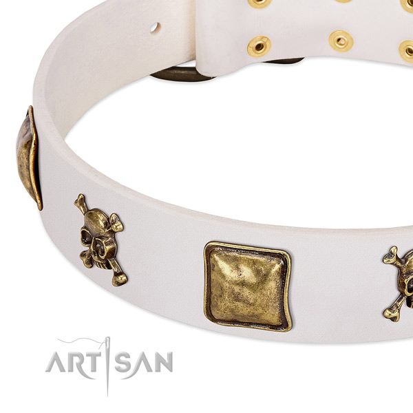 Walking full grain genuine leather dog collar with exceptional embellishments