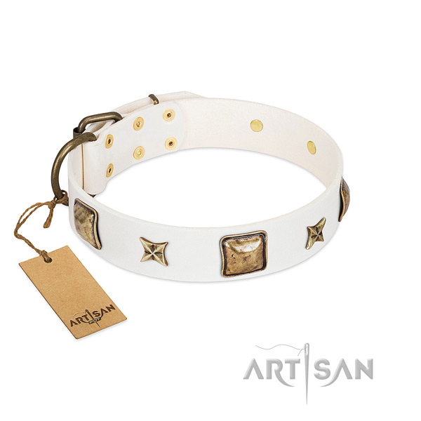 Extraordinary genuine leather dog collar for everyday use