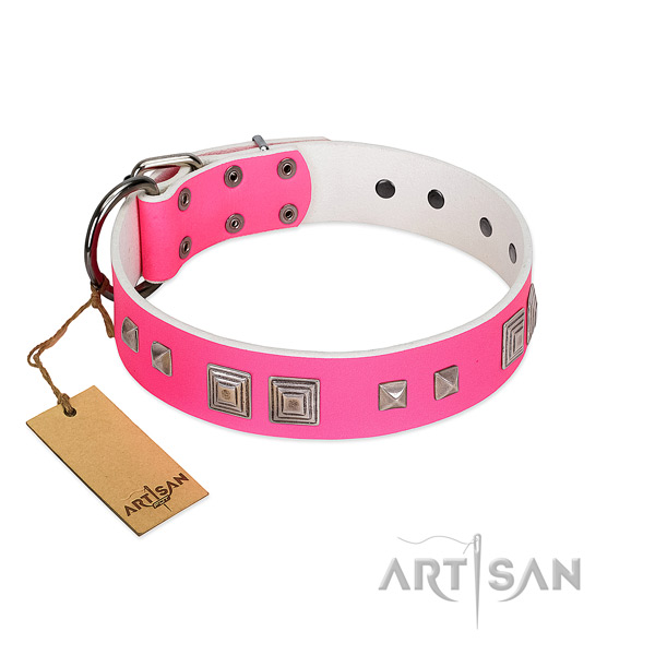 Daily use soft to touch leather dog collar with embellishments