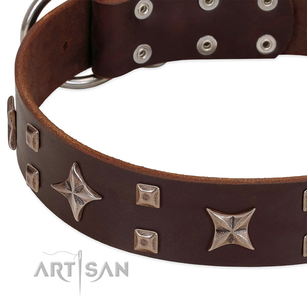 Strong fittings on full grain leather collar for basic training your dog