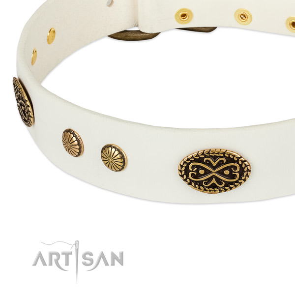 Durable adornments on leather dog collar for your doggie