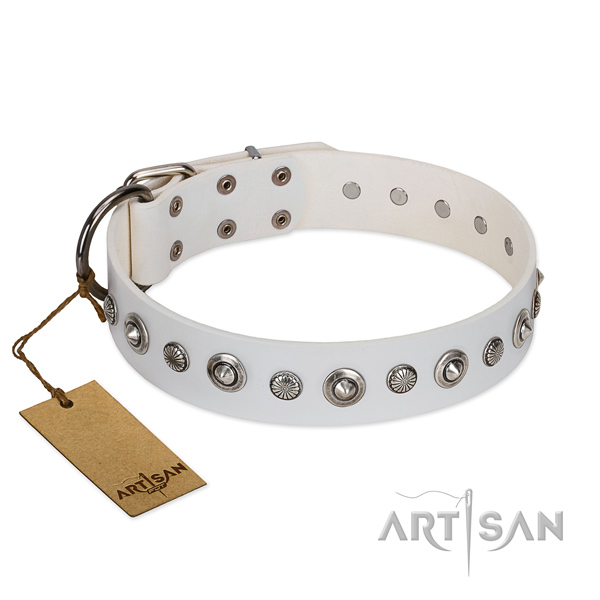 High quality natural leather dog collar with incredible embellishments