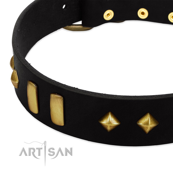 Soft natural leather dog collar with stunning embellishments