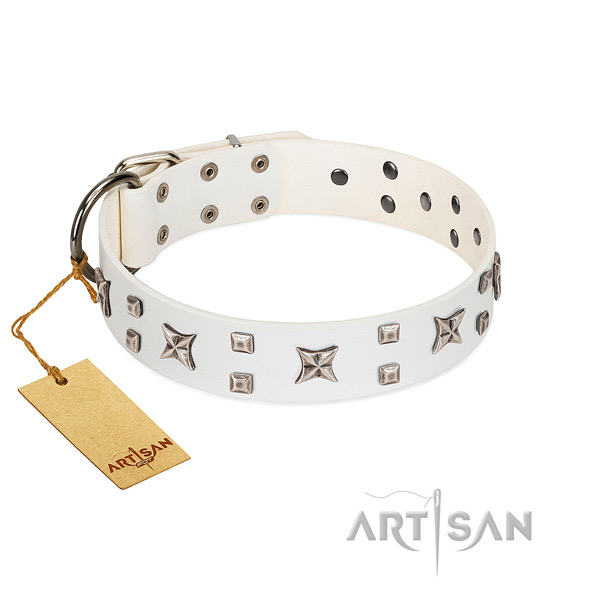 Gentle to touch natural leather dog collar with fashionable embellishments