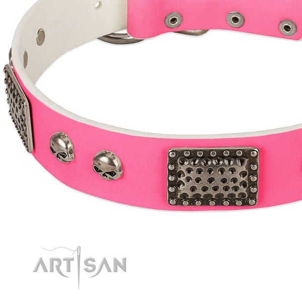 Corrosion proof D-ring on leather dog collar for your doggie