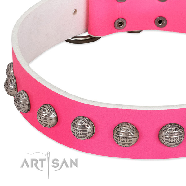 Everyday walking genuine leather dog collar with fashionable decorations