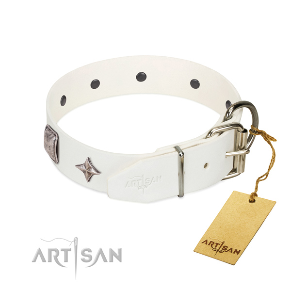 Top-notch full grain leather dog collar with amazing adornments