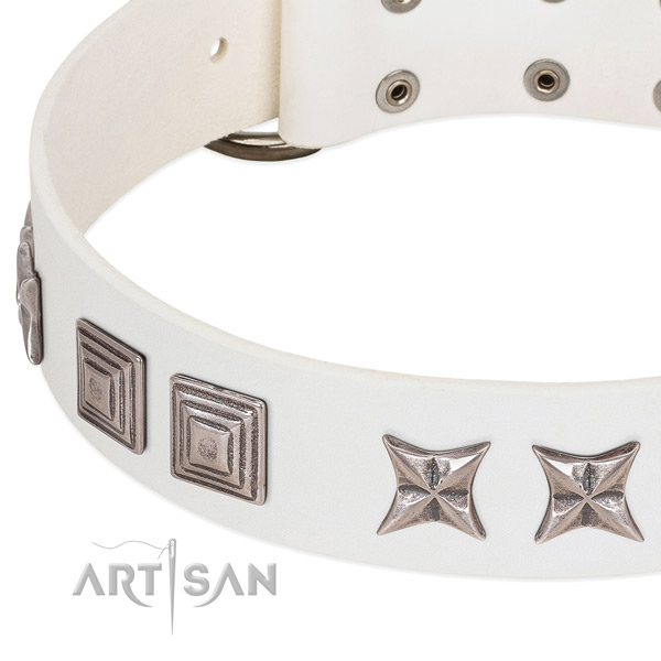 Stylish walking genuine leather dog collar with impressive studs
