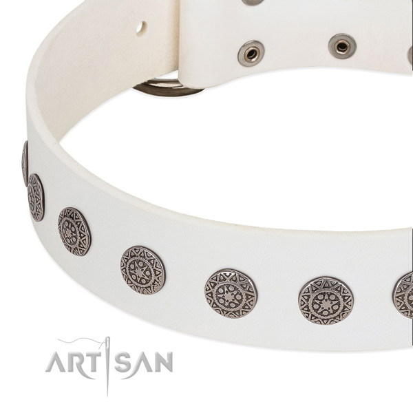Trendy full grain genuine leather collar with embellishments for your doggie