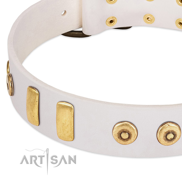 Soft leather dog collar with inimitable studs