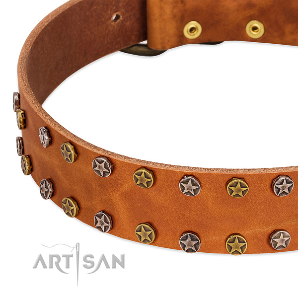 Easy wearing full grain natural leather dog collar with top notch studs