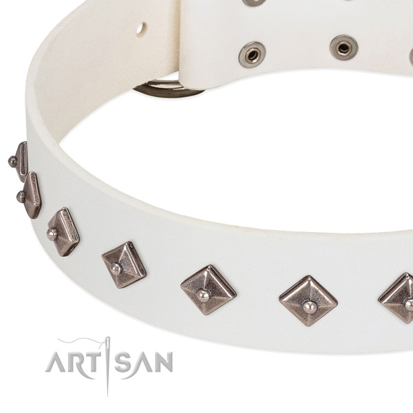 Embellished collar of genuine leather for your four-legged friend