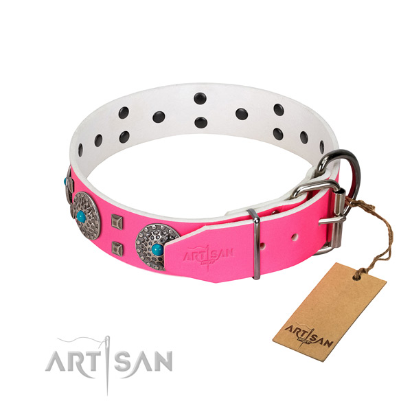 Soft to touch genuine leather dog collar with adornments for walking