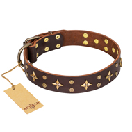"High Fashion" FDT Artisan Embellished Brown Leather English Pointer Collar
