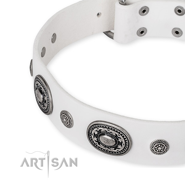 Reliable full grain leather dog collar made for your stylish dog