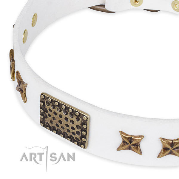 Full grain genuine leather collar with rust-proof D-ring for your attractive pet