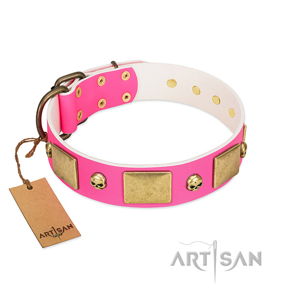 Flexible full grain leather collar with rust resistant studs for your pet