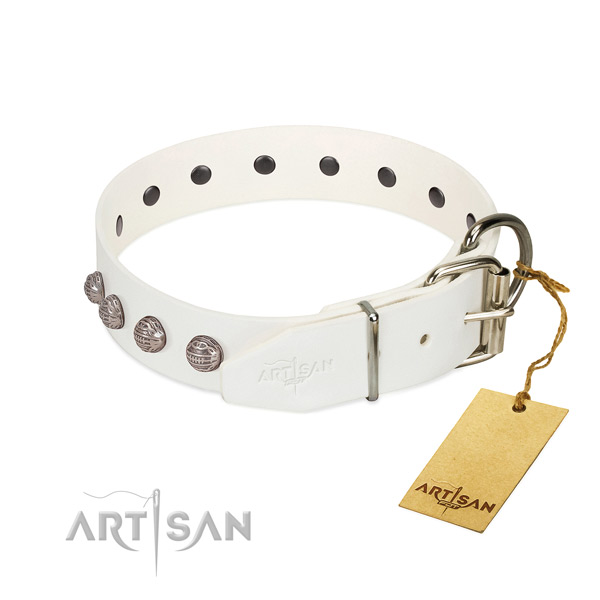 Genuine leather dog collar of flexible material with impressive adornments
