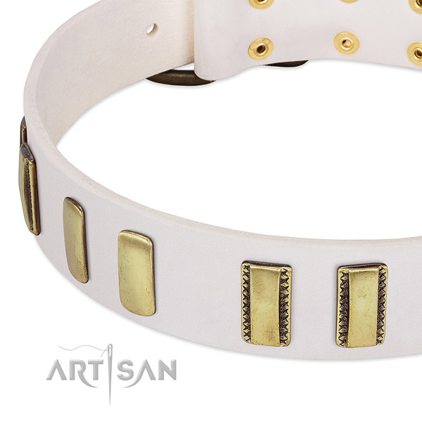 Top rate full grain natural leather dog collar with decorations for handy use