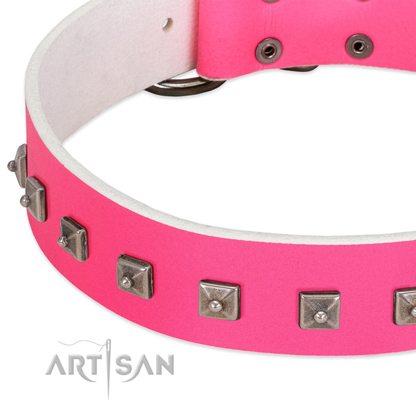 Quality leather dog collar with top notch studs
