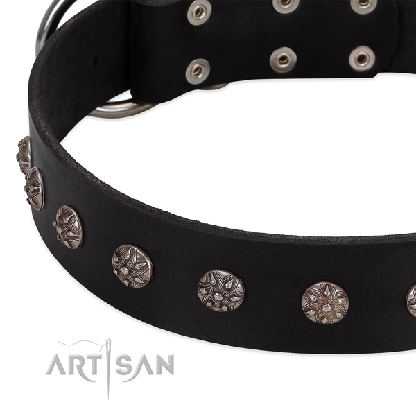 High quality full grain genuine leather dog collar with decorations for your four-legged friend