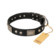 "Pirates Gold" FDT Artisan Black Leather English Pointer Collar with Old Silver Look Plates and Skulls