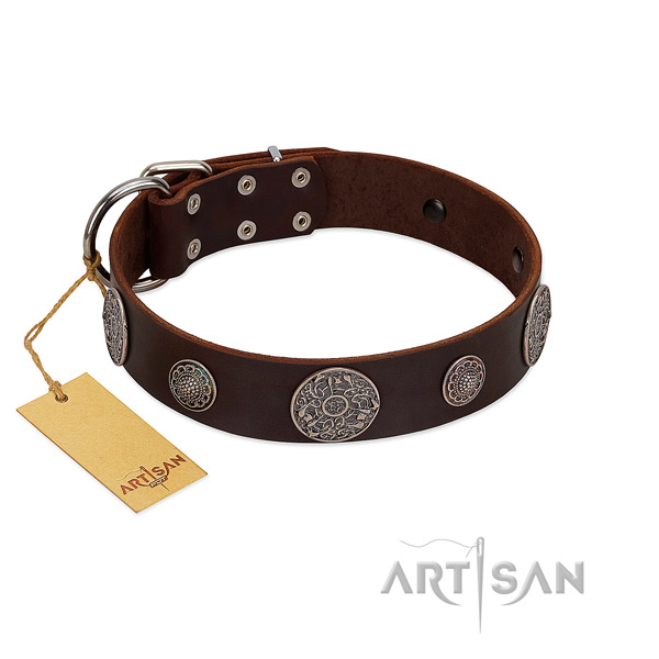 Impressive full grain natural leather collar for your stylish four-legged friend