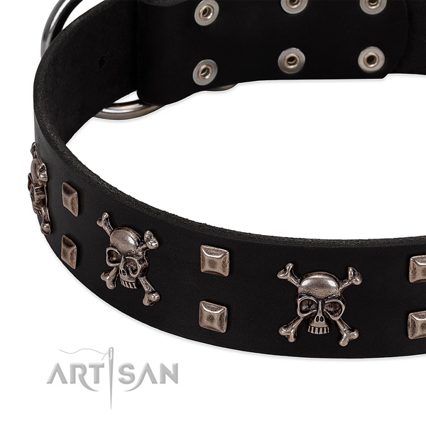 Convenient collar of full grain genuine leather for your beautiful pet