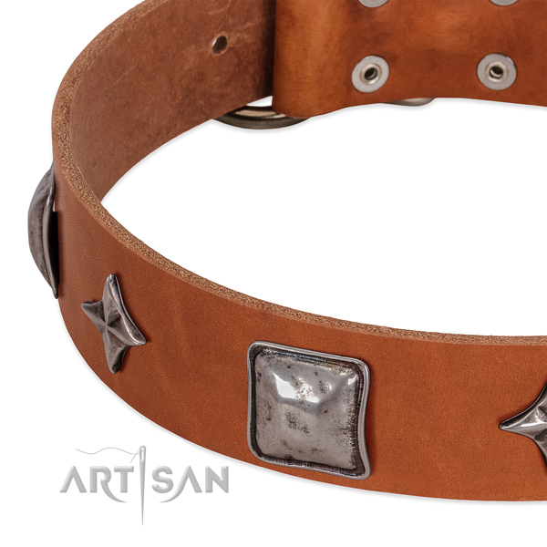 Full grain natural leather collar with designer adornments for your dog