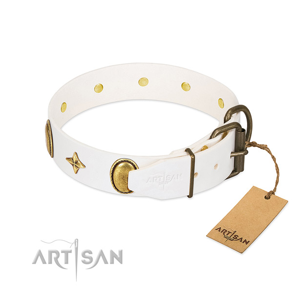 Reliable natural leather dog collar with exceptional adornments
