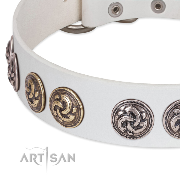Exquisite genuine leather dog collar for daily use