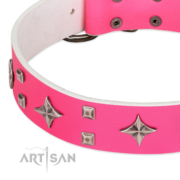 Comfy wearing reliable full grain natural leather dog collar with studs