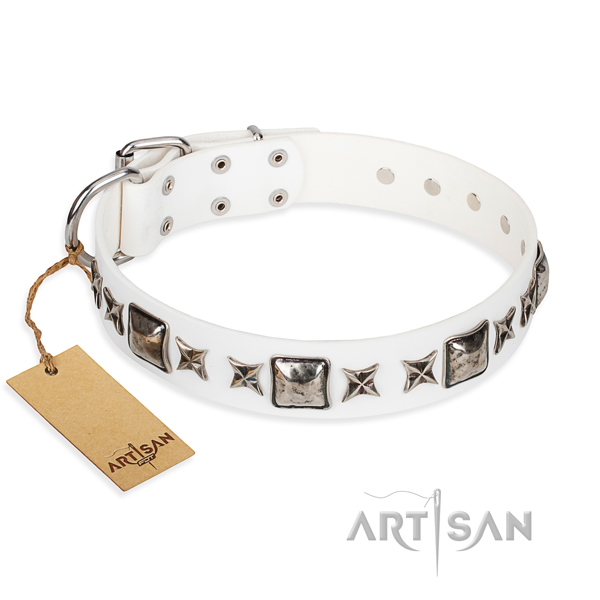 Fancy walking dog collar of best quality leather with embellishments
