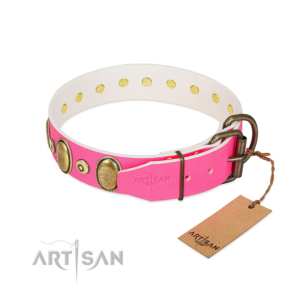 Rust resistant decorations on high quality natural leather dog collar