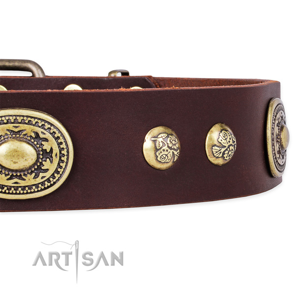 Fashionable full grain genuine leather collar for your stylish pet