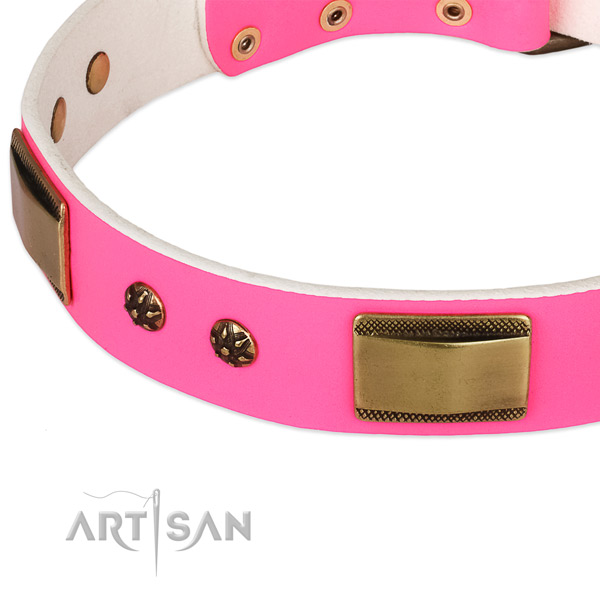 Rust-proof studs on full grain natural leather dog collar for your doggie