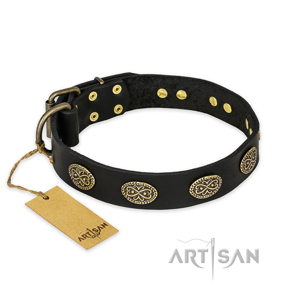 Incredible leather dog collar with rust-proof hardware
