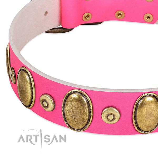Top rate full grain natural leather collar with corrosion proof decorations for your pet