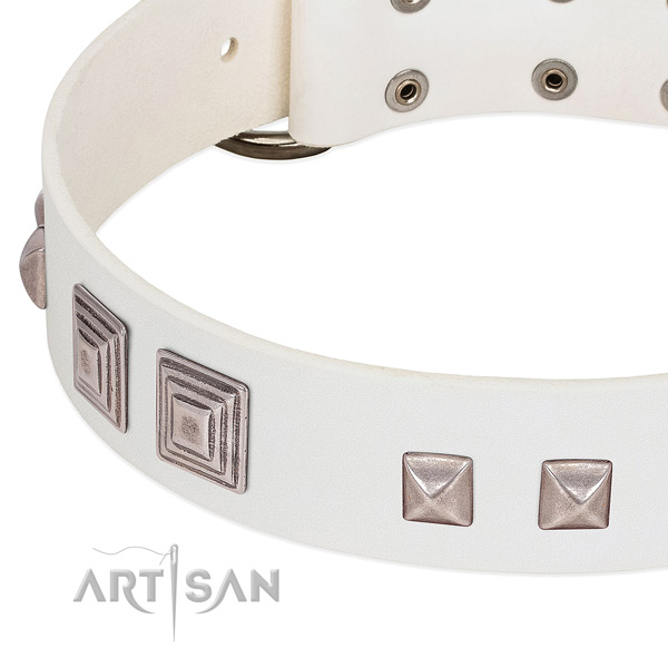Leather dog collar with durable fittings