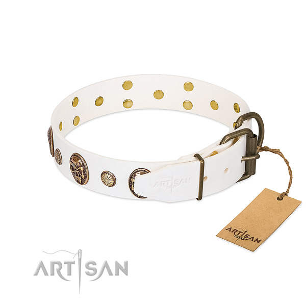 Strong D-ring on full grain leather collar for basic training your doggie