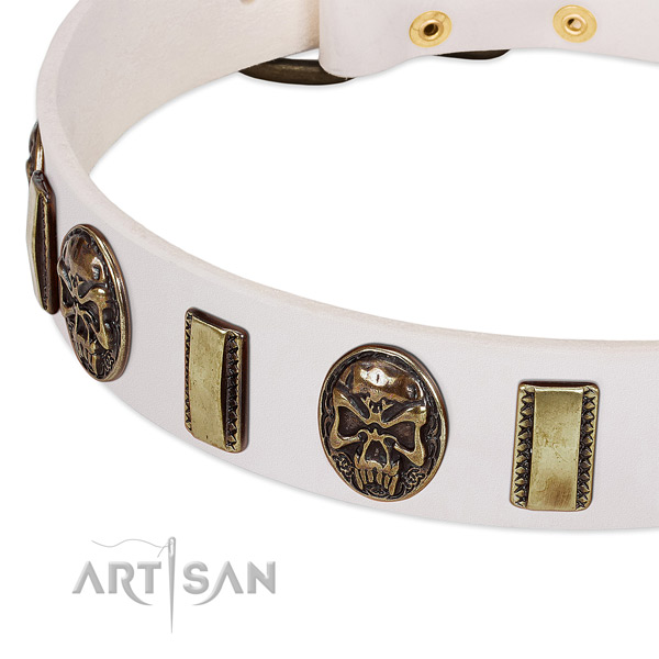Corrosion resistant buckle on full grain leather dog collar for your pet