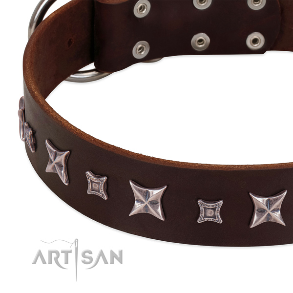 personalized dog collars