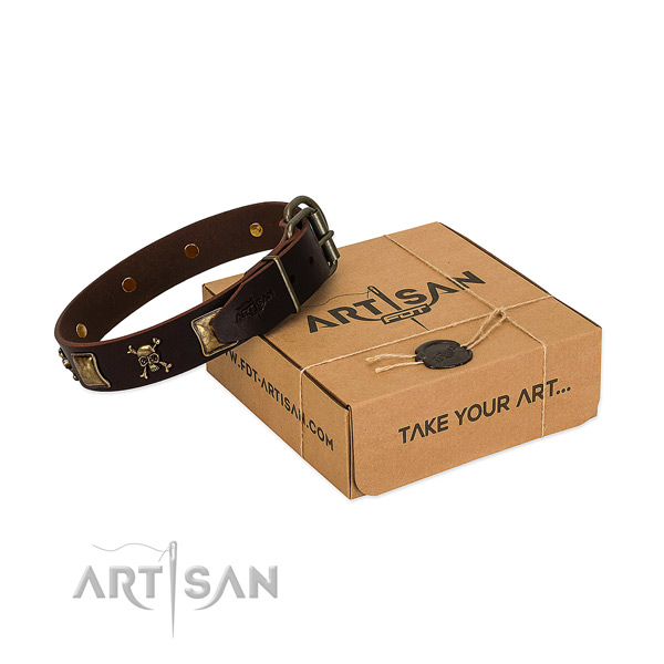 Top notch full grain genuine leather dog collar with stylish embellishments