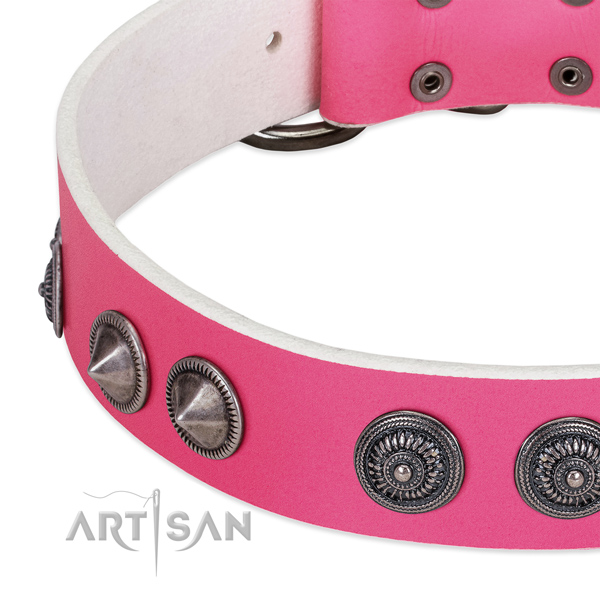 Stylish design full grain leather collar with adornments for your four-legged friend