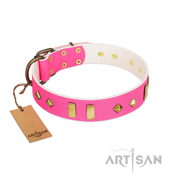 Leather dog collar with durable hardware for fancy walking