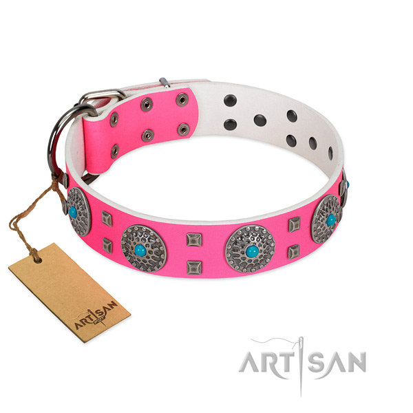 Everyday use natural leather dog collar with incredible embellishments