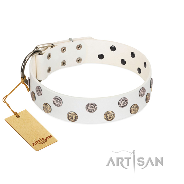 Incredible studs on natural leather collar for everyday use your doggie