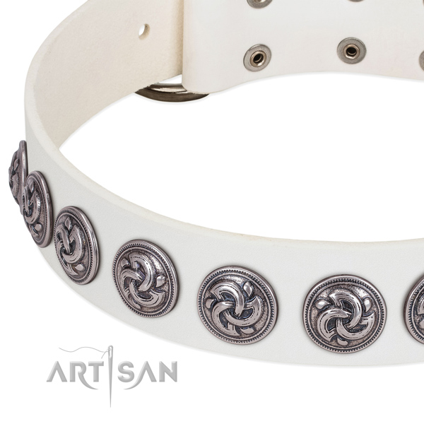 Best quality genuine leather dog collar handmade for your canine